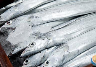帶魚是深海魚嗎？帶魚是海鮮嗎