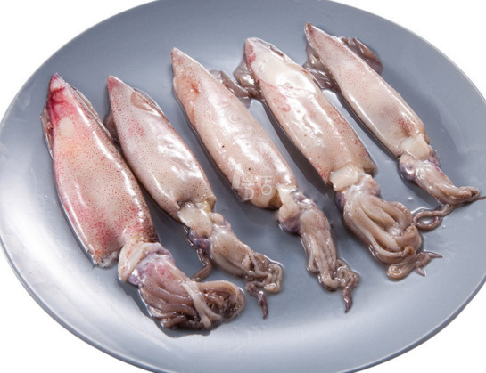 章魚(yú)是魷魚(yú)嗎？章魚(yú)和魷魚(yú)有什么區(qū)別