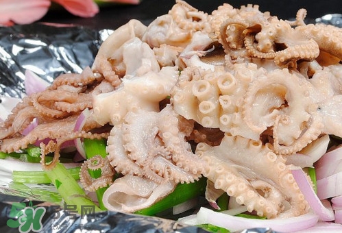 八爪魚是魷魚嗎？八爪魚是章魚嗎