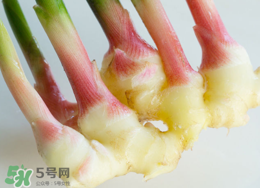 7月份可以種生姜嗎？生姜幾月份種植？
