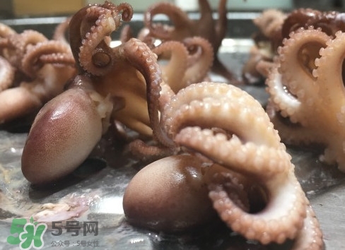 八爪魚(yú)怎么做好吃？八爪魚(yú)怎么保存