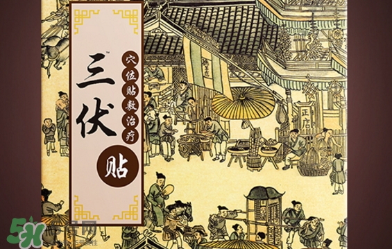 貼三伏貼可以游泳嗎？貼三伏貼游泳有什么壞處？