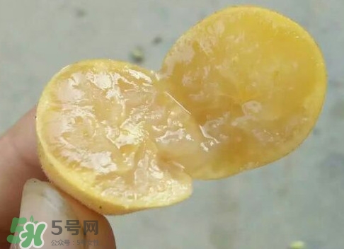 黃皮可以吃皮嗎？黃皮果可以帶皮吃嗎