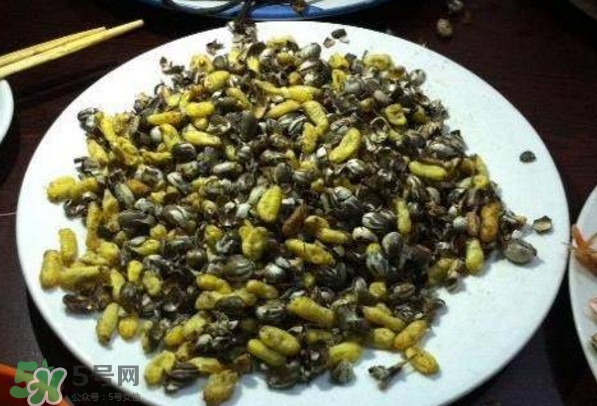 洋辣子是什么？洋辣子能吃嗎？