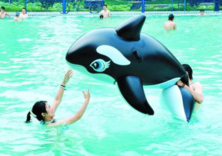 三伏天可以游泳嗎？三伏天游泳會有濕氣嗎？