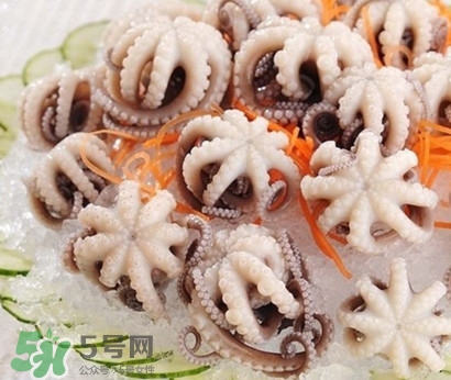 八爪魚為什么有大米？八爪魚為什么有墨汁