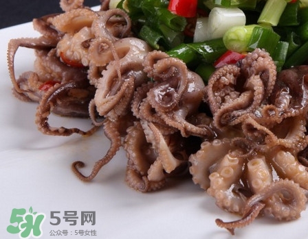 八爪魚(yú)怎么做好吃？八爪魚(yú)怎么保存