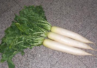 頭伏蘿卜二伏菜是什么意思？頭伏種什么菜？