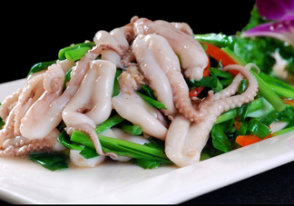八爪魚是魷魚嗎？八爪魚是章魚嗎