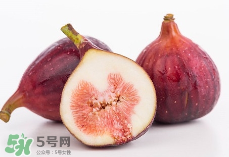 無花果喜陽還是喜陰植物？無花果吃多會怎么樣