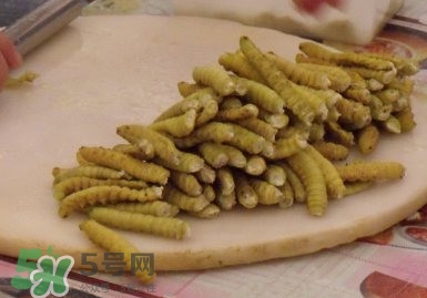豆丹做菜前怎么處理干凈？豆丹怎么養(yǎng)殖