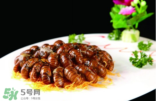 知了猴孕婦可以吃嗎？孕婦能吃知了猴嗎？
