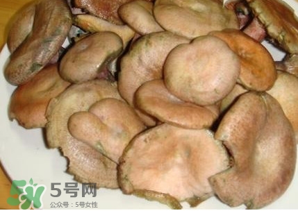樅樹菌孕婦可以吃嗎？孕婦能吃樅樹菌嗎