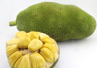 木菠蘿買來怎么吃？木菠蘿吃多了會怎樣？