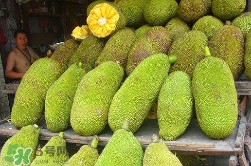 木菠蘿買來怎么吃？木菠蘿吃多了會怎樣？