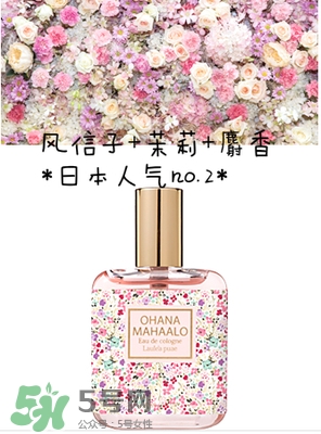 ohana mahaalo香水是什么牌子？ohana mahaalo在哪買？