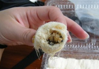 龍須糖是哪里的特產(chǎn)？龍須糖為什么叫龍須糖