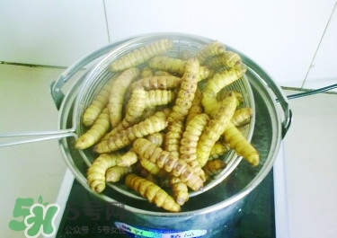 豆丹做菜前怎么處理干凈？豆丹怎么養(yǎng)殖