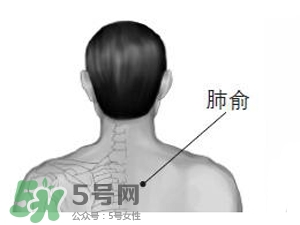三伏貼能治過敏性鼻炎嗎？三伏貼治過敏性鼻炎貼哪里？