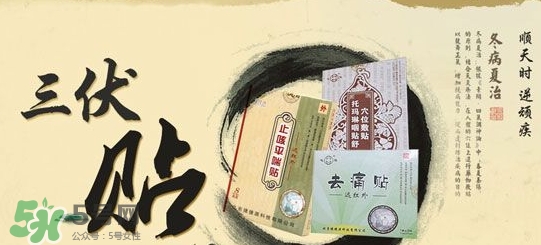 貼三伏貼掛什么科？三伏貼掛什么號？