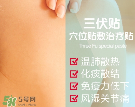 貼三伏貼可以吃魚嗎？貼三伏貼可以吃什么魚？