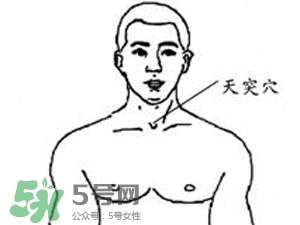 三伏貼能治過敏性鼻炎嗎？三伏貼治過敏性鼻炎貼哪里？