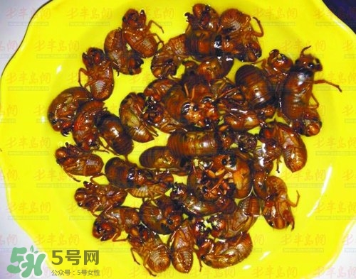 知了猴能淹死嗎？知了猴哪個(gè)部位不能吃？