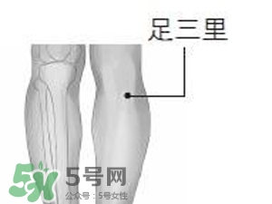 三伏貼能治過敏性鼻炎嗎？三伏貼治過敏性鼻炎貼哪里？