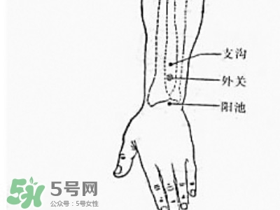 三伏貼能治過敏性鼻炎嗎？三伏貼治過敏性鼻炎貼哪里？
