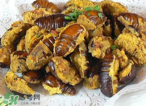 水煮蟬蛹怎么做？蟬蛹煮多久可以熟？