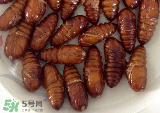 蟬蛹吃什么部位？蟬蛹都有哪些營養(yǎng)價(jià)值