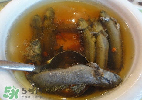 跳跳魚(yú)多少錢(qián)一斤？跳跳魚(yú)是淡水魚(yú)嗎？