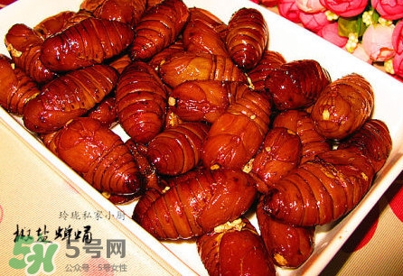 蟬蛹有寄生蟲嗎？蟬蛹有毒嗎