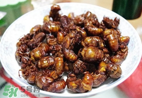 蟬蛹什么人不能吃？蟬蛹不能和什么一起吃