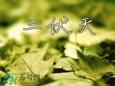 三伏天怎么坐月子？三伏天坐月子要注意什么？
