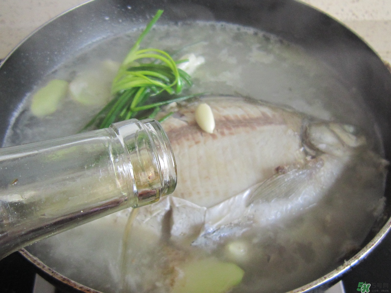 三伏灸可以吃魚嗎？三伏灸可以吃什么魚？