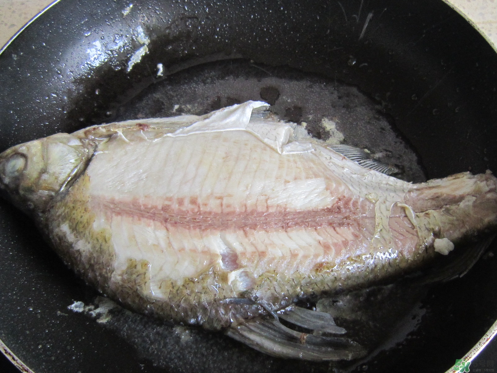 三伏灸可以吃魚嗎？三伏灸可以吃什么魚？