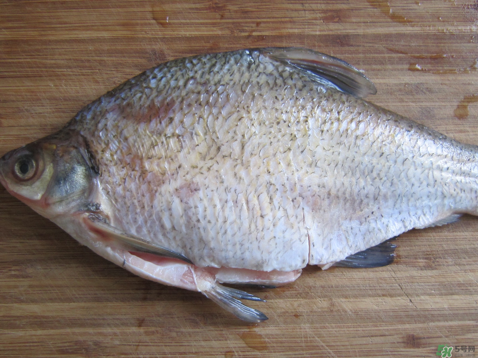 三伏灸可以吃魚嗎？三伏灸可以吃什么魚？