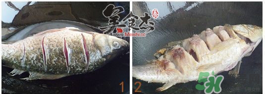 三伏灸可以吃魚嗎？三伏灸可以吃什么魚？