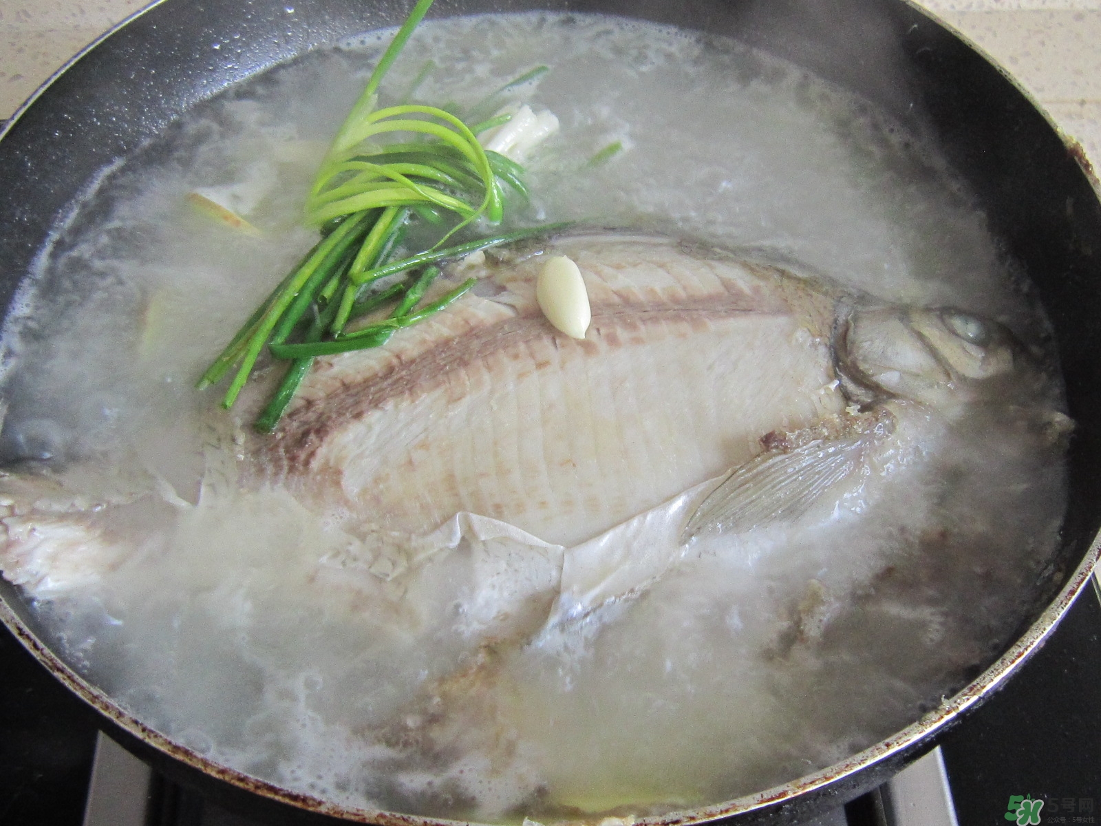 三伏灸可以吃魚嗎？三伏灸可以吃什么魚？
