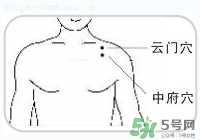 三伏灸可以自己灸嗎？三伏灸可以在家做嗎？