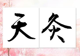 三伏灸可以吃水果嗎？貼三伏灸可以吃什么水果？