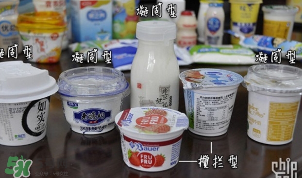 什么牌子的酸奶好？每天喝酸奶好還是純牛奶好