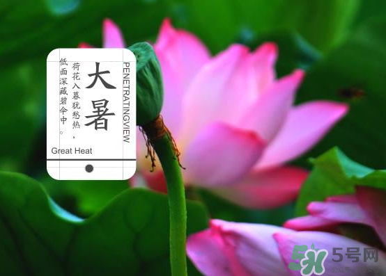 大暑和處暑是什么意思？大暑熱還是處暑熱？
