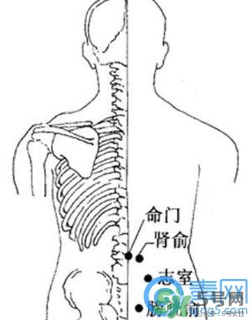 三伏灸可以治腰腿痛嗎？三伏灸治腰腿痛灸哪里》