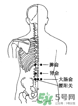 三伏灸可以治腰腿痛嗎？三伏灸治腰腿痛灸哪里》