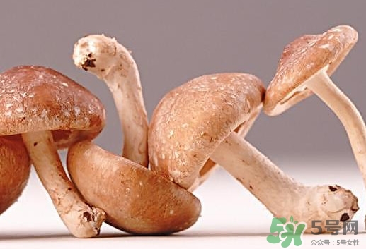 什么病不能吃香菇？香菇不能和什么一起吃
