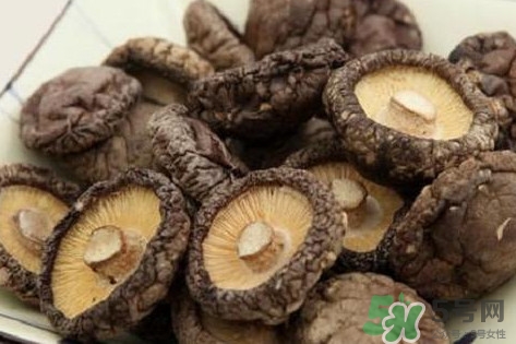 香菇是蘑菇嗎？香菇和蘑菇有什么區(qū)別