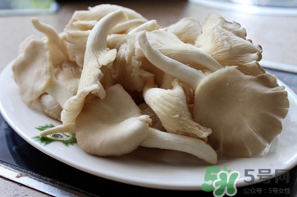 平菇怎么吃最有營養(yǎng)？平菇長白毛還能吃嗎
