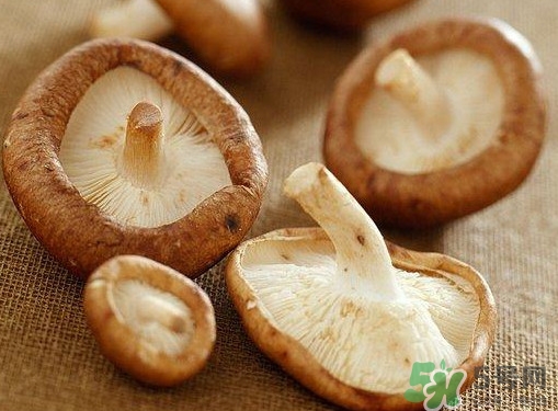 買香菇怎么挑選？干香菇怎么挑選？